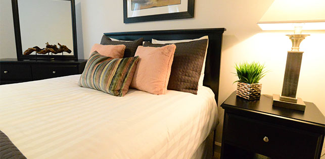 Congaree Furniture